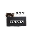 チワワのりんてんるん（個別スタンプ：40）