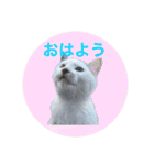 ながね家④（個別スタンプ：1）