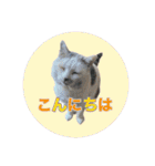 ながね家④（個別スタンプ：2）