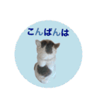 ながね家④（個別スタンプ：3）