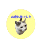 ながね家④（個別スタンプ：4）