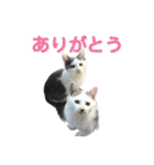 ながね家④（個別スタンプ：9）