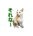 ながね家④（個別スタンプ：10）