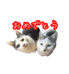 ながね家④（個別スタンプ：15）