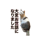 ながね家④（個別スタンプ：22）