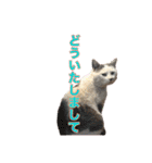 ながね家④（個別スタンプ：27）