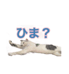 ながね家④（個別スタンプ：28）