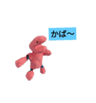 かばヨアラーズ3(実写)（個別スタンプ：5）