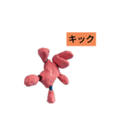 かばヨアラーズ3(実写)（個別スタンプ：7）