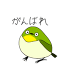 メジロリアンのためのメジロスタンプ（個別スタンプ：2）