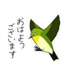 メジロリアンのためのメジロスタンプ（個別スタンプ：6）