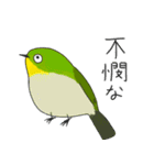 メジロリアンのためのメジロスタンプ（個別スタンプ：19）