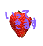 いろんないちごスタンプ（個別スタンプ：7）