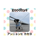 シルバがやって来た！ヤァ！ヤァ！ヤァ！（個別スタンプ：3）