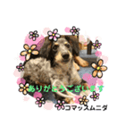 シルバがやって来た！ヤァ！ヤァ！ヤァ！（個別スタンプ：9）