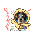 シルバがやって来た！ヤァ！ヤァ！ヤァ！（個別スタンプ：16）
