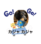 シルバがやって来た！ヤァ！ヤァ！ヤァ！（個別スタンプ：21）