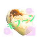 チョコちゃんスタンプ♡*(ふんわり編)（個別スタンプ：2）