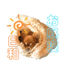 チョコちゃんスタンプ♡*(ふんわり編)（個別スタンプ：6）