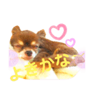 チョコちゃんスタンプ♡*(ふんわり編)（個別スタンプ：11）