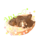 チョコちゃんスタンプ♡*(ふんわり編)（個別スタンプ：13）