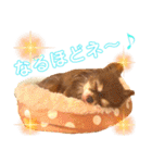 チョコちゃんスタンプ♡*(ふんわり編)（個別スタンプ：16）
