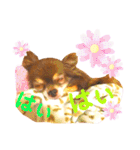 チョコちゃんスタンプ♡*(ふんわり編)（個別スタンプ：17）