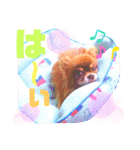 チョコちゃんスタンプ♡*(ふんわり編)（個別スタンプ：18）