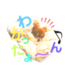 チョコちゃんスタンプ♡*(ふんわり編)（個別スタンプ：22）