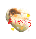 チョコちゃんスタンプ♡*(ふんわり編)（個別スタンプ：24）