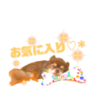 チョコちゃんスタンプ♡*(ふんわり編)（個別スタンプ：27）