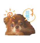 チョコちゃんスタンプ♡*(ふんわり編)（個別スタンプ：30）