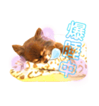 チョコちゃんスタンプ♡*(ふんわり編)（個別スタンプ：34）