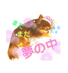チョコちゃんスタンプ♡*(ふんわり編)（個別スタンプ：35）