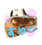 チョコちゃんスタンプ♡*(ふんわり編)（個別スタンプ：36）