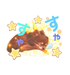 チョコちゃんスタンプ♡*(ふんわり編)（個別スタンプ：37）