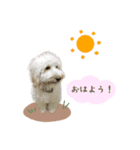 【修正版】コロ と リュウ の スタンプ（個別スタンプ：2）