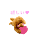 【修正版】コロ と リュウ の スタンプ（個別スタンプ：5）