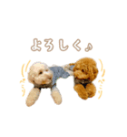 【修正版】コロ と リュウ の スタンプ（個別スタンプ：7）