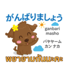 るぅ 素直な気持ち Pop-up タイ語·日本語（個別スタンプ：1）