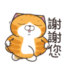 ランラン猫 36 (台湾版)（個別スタンプ：3）