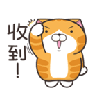 ランラン猫 36 (台湾版)（個別スタンプ：4）