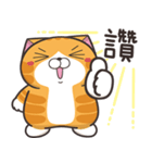 ランラン猫 36 (台湾版)（個別スタンプ：8）