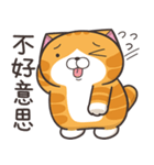 ランラン猫 36 (台湾版)（個別スタンプ：11）
