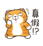 ランラン猫 36 (台湾版)（個別スタンプ：12）