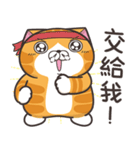 ランラン猫 36 (台湾版)（個別スタンプ：17）