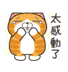 ランラン猫 36 (台湾版)（個別スタンプ：22）