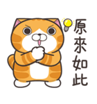 ランラン猫 36 (台湾版)（個別スタンプ：29）