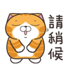 ランラン猫 36 (台湾版)（個別スタンプ：31）