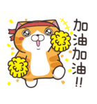 ランラン猫 36 (台湾版)（個別スタンプ：34）